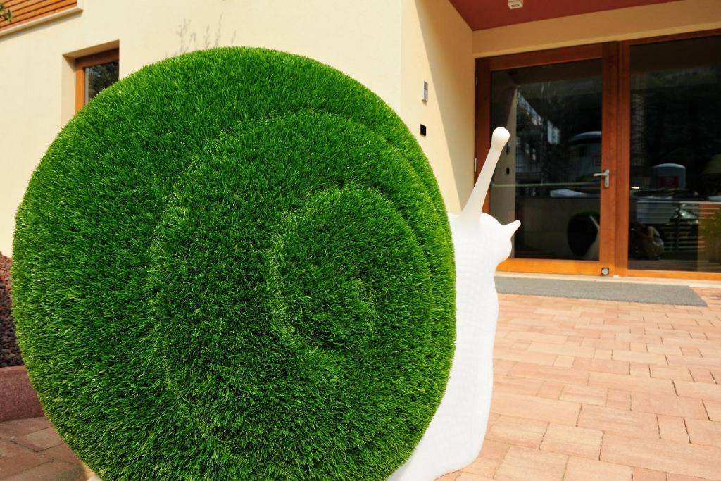 Eco Bonapace Torbole Sul Garda